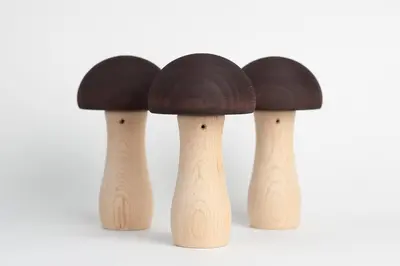 Chestnut Honguito