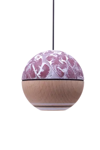 AGORA CLOUD